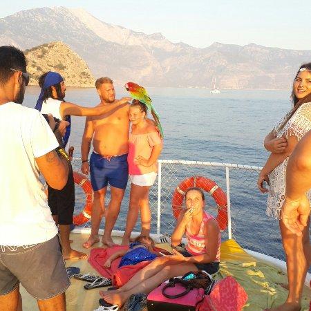 Hanibal Tours