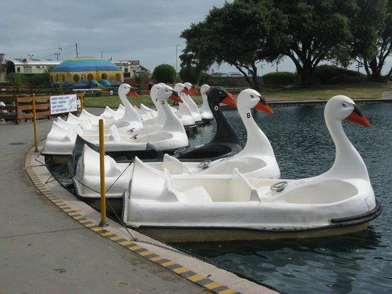 Exmouth Fun Park Ltd