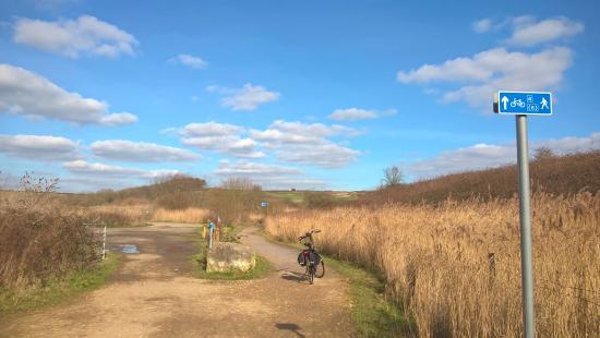 Jurassic Trails Cycle Hire