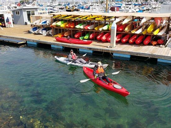 Aqua Adventures Kayaks & Paddleboards