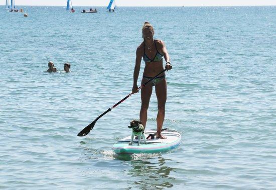 Jurassic SUP & Fitness Ltd