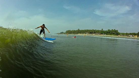 Surf Wala - Day Surfing