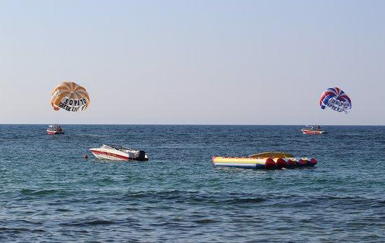Dolphin Water Sports