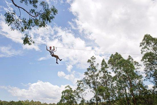 TreeTops Newcastle