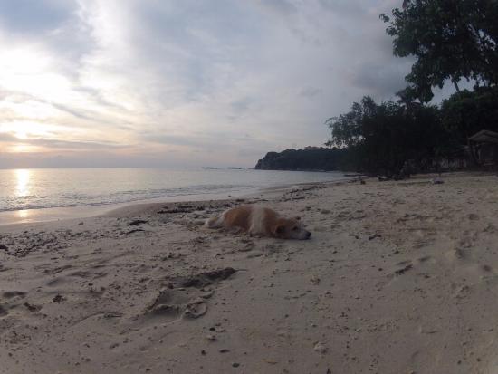 Leela Beach