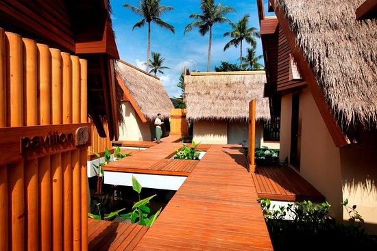 Tea Tree Spa