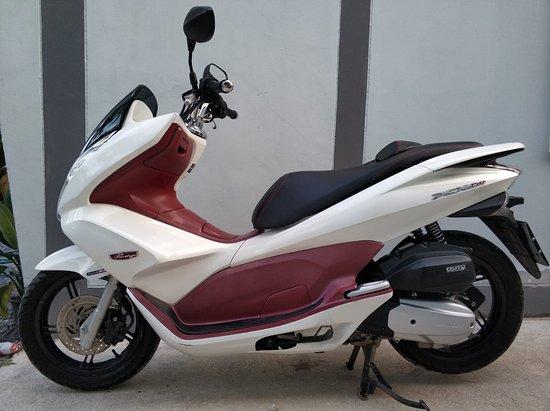 Krabi Bike and Bake
