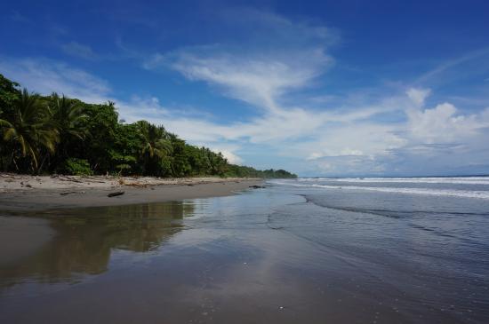 Nicoya Surf & SUP