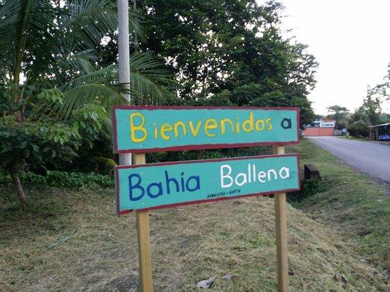 Parque Nacional Marino Bahia Ballena