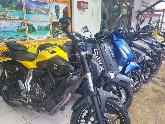 Panda Kata Motorbikes for Rent