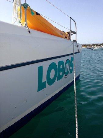 Lobos In Catamaran - Day Tours