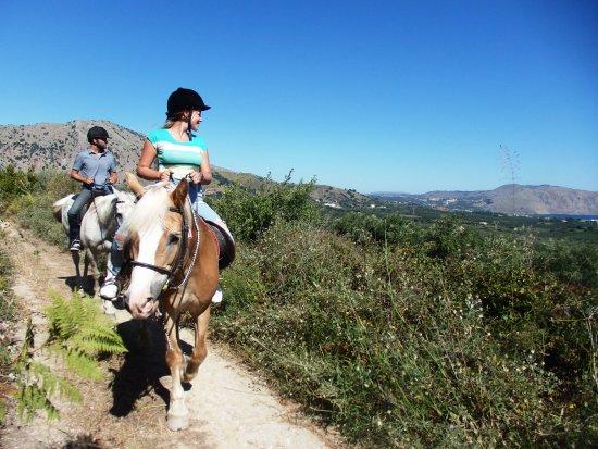 Zoraida's Horse Riding