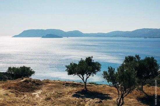 Daphni Nesting Beach