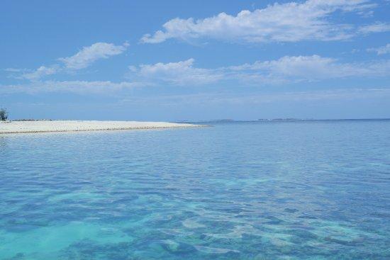 Lady Musgrave Cruises