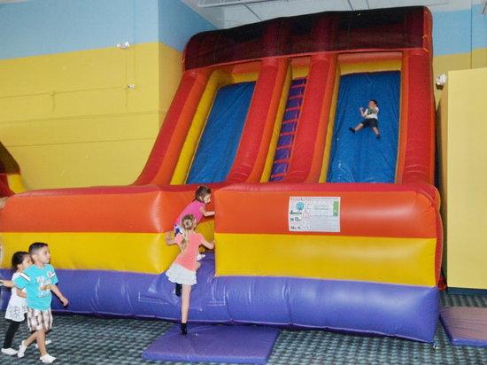 Bounce Down Under Sarasota