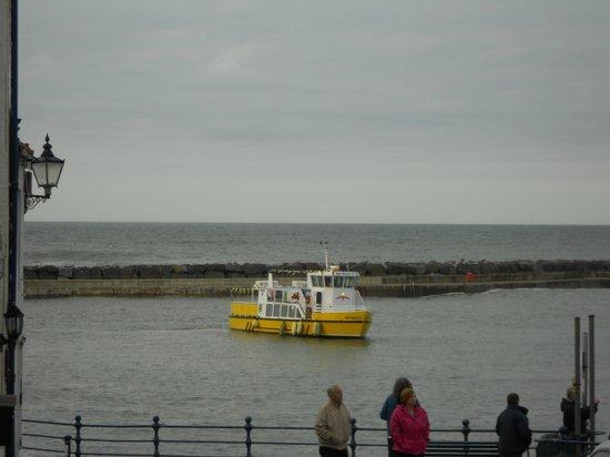 Esk Belle II Coastal Cruises