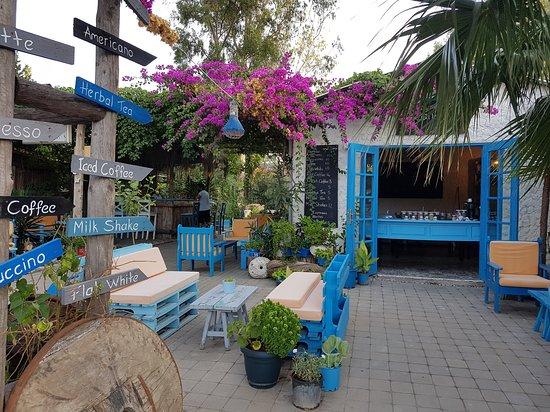 Simbar & Beanies