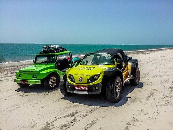 Net Buggy Turismo