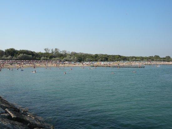 Onda Azzurra