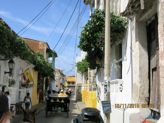 Horse Drawn Carriage Tours