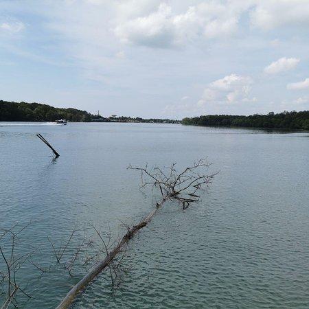 Kuantan River Tours