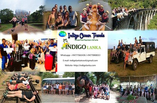 Indigo Lanka Travels