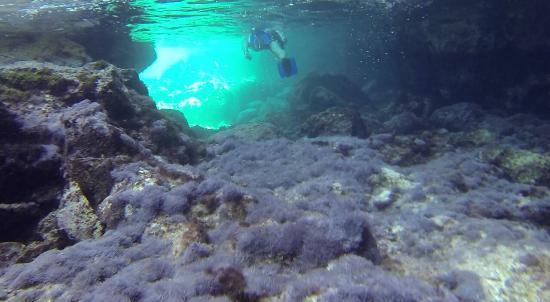 Dream Adventure Trips