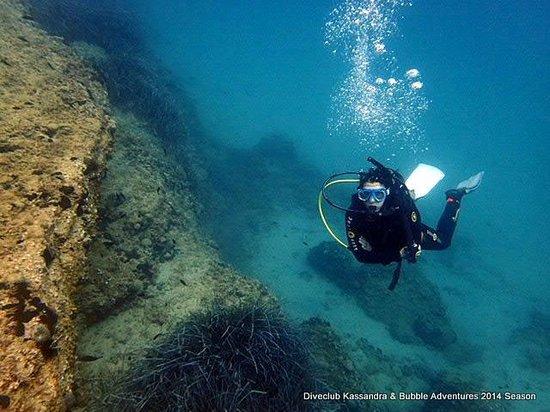 Bubble Adventures Halkidiki