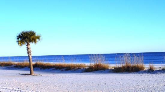 Biloxi Beach
