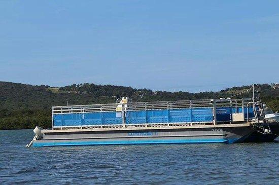 Island Adventures Biobay Eco-tours