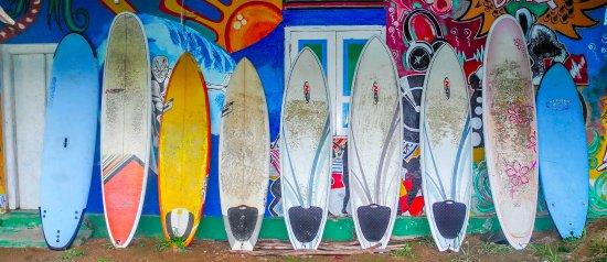 Kumara Surf School