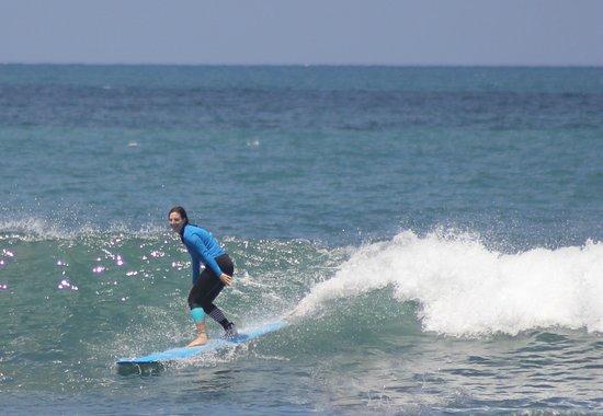 Surf's Up School