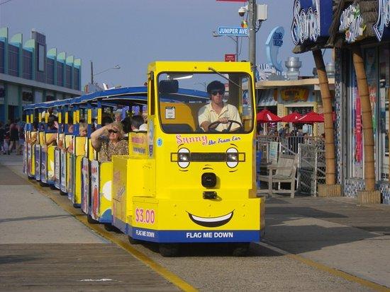 Sightseers Trams