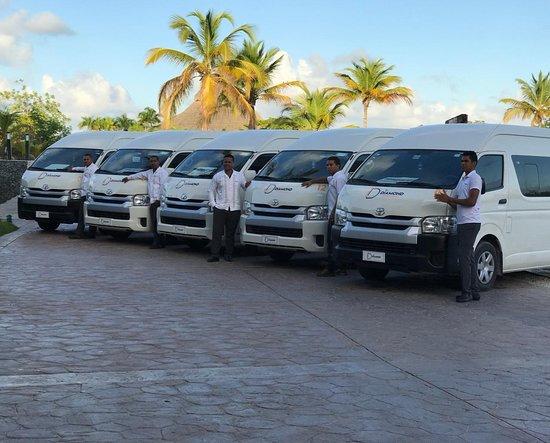 Dominican Transfers Diamond