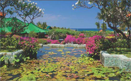 Garden Tour at Bali Hyatt