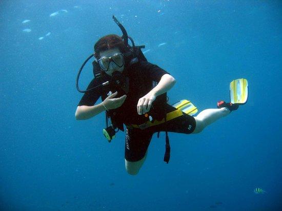 U2 Divers
