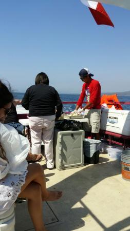 Cruceros Princesa - Day Tours