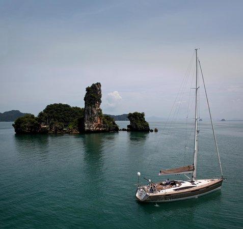 PinkShrimp Yachting