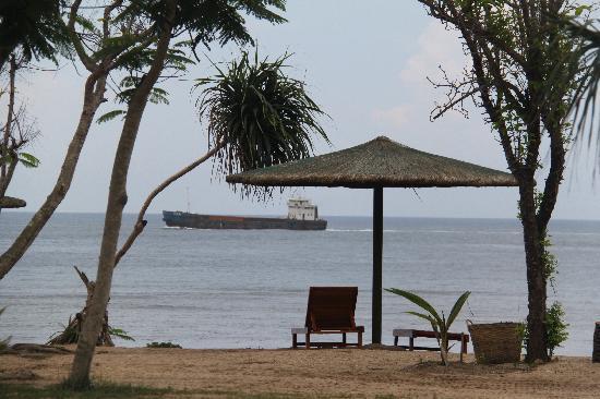 Niuche Bay