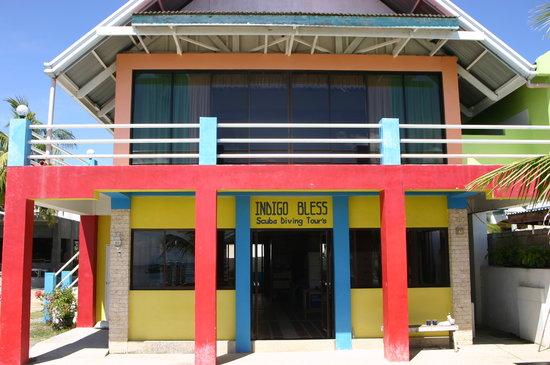 Cebu Scuba Diving Tour - Indigo Bless
