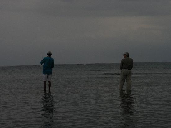 Pescado Roatan