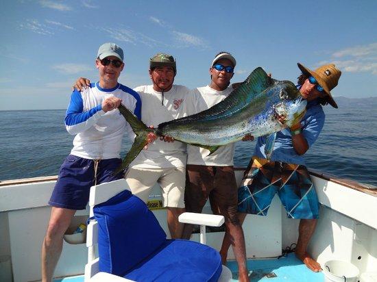 Guanacaste Billfish
