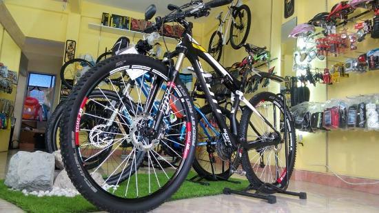 Venture Bike Hire