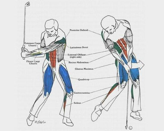 Destin Golf Fitness