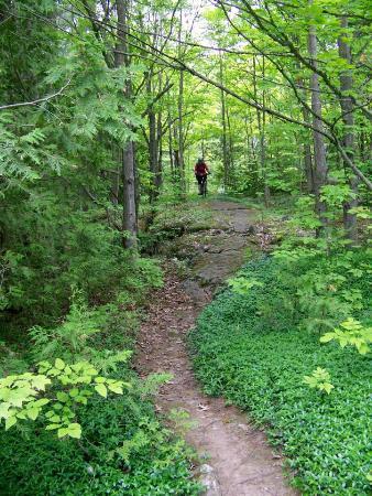 Mountain Bike Adventure Park