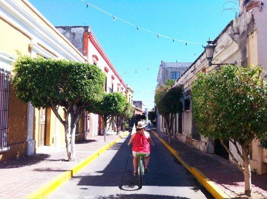 Sea Breeze Bike Rentals