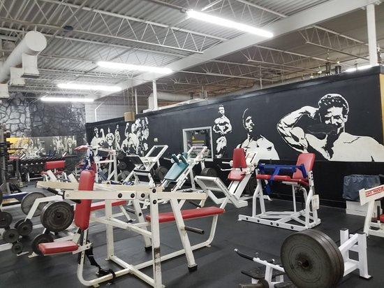 Gold's Gym