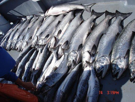 Freedom Sportfishing