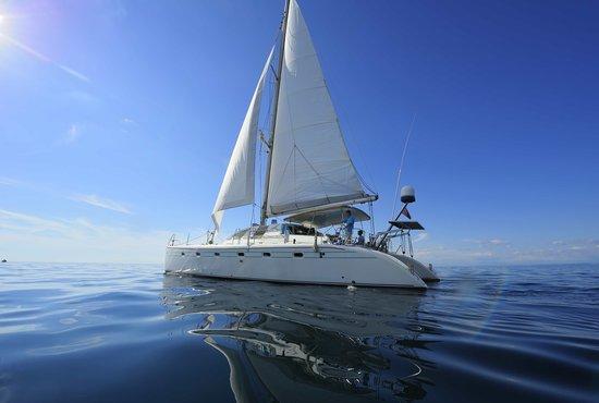 Mykonos Boat Tours