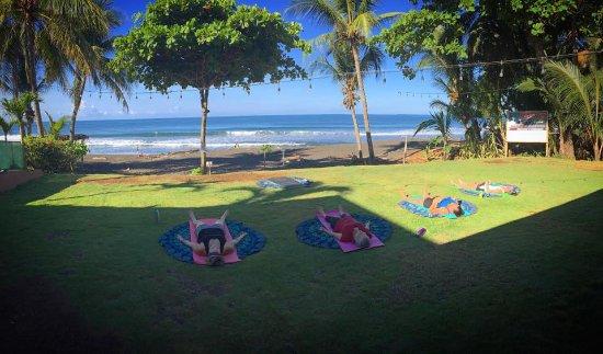 Jungle Gen Yoga